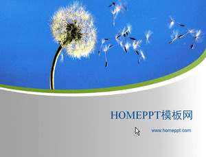 Flying dandelion classic PPT template download