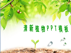 Fresh leaf background PPT template download