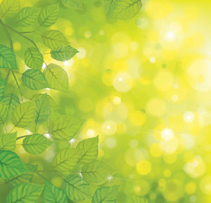 新鮮な葉のハローPPTの背景画像