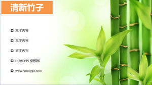 Frisches hellgrüner Bambus PPT Hintergrundbild herunterladen