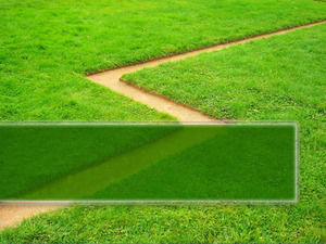 Hijau tanaman rumput PPT background template yang