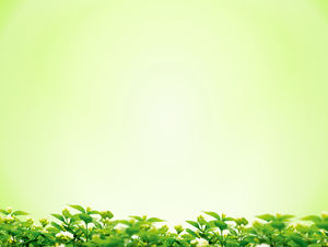绿色桂花背景简单的PPT背景图片