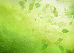 绿色透明叶子美丽的PPT背景图片