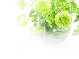 Green vase plant PPT background picture