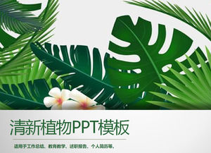 綠色寬葉植物背景PPT模板免費下載