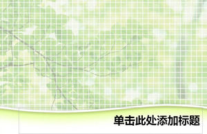Modelo del fondo de PPT planta verde de cuadrícula