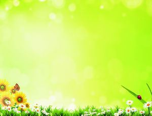ハロー花、蝶、緑の草PPTの背景画像