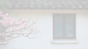 Jiangnan tema de poesía verde pequeño fresco y hermoso estilo chino plantilla ppt