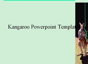 Kangaroo Powerpoint Templates