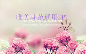 ピンクのバラの花の背景と韓国のPPTテンプレート