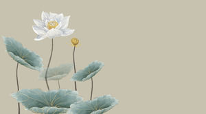 Lotus Like - Lotus theme minimalist pure atmosphere Chinese style ppt template