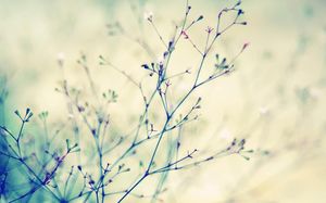 Messy beautiful cherry tree branch PPT background picture