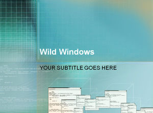 Multiple Windows
