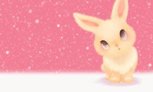Rosa pequeño conejo linda foto de fondo PPT