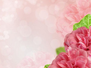ピンクの花のPPTの背景画像