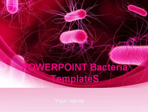 Powerpoint Бактерии