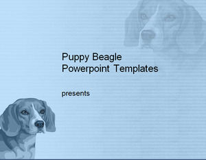 Cachorro beagle modelos de Powerpoint
