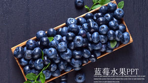 Descarga gratuita de la plantilla PPT de Purple Fruit Blueberry