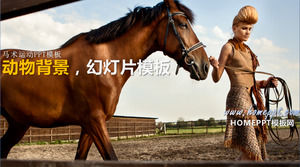 Racing Equestrian Powerpoint Hintergrund Vorlage herunterladen