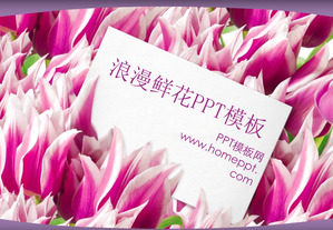 Romantic Tulip Background Template Amore PowerPoint