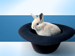 Small rabbit magic hat