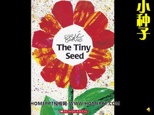"Small semente" história livro de imagens