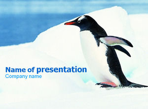 เพนกวินขั้วโลกใต้แม่แบบ Powerpoint