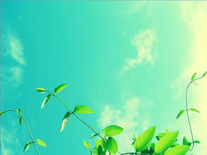 Two blue sky and white clouds under the beautiful plant PPT background picture