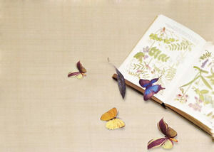 Two pictures of PPT background with elegant butterfly background