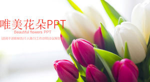 美しいチューリップの花の背景のためのユニバーサルPPTテンプレート無料ダウンロード