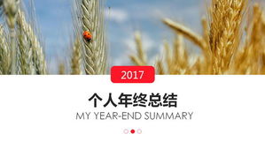 Wheat background year end summary PPT template download