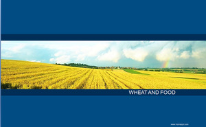 حقل القمح قالب PPT الأعمال خلفية تحميل