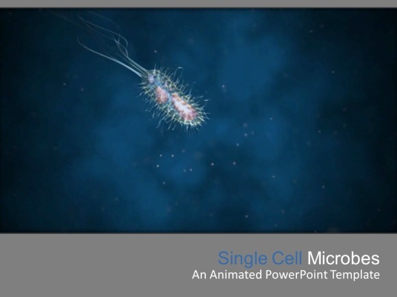 微生物-的PowerPoint，Temp.jpg