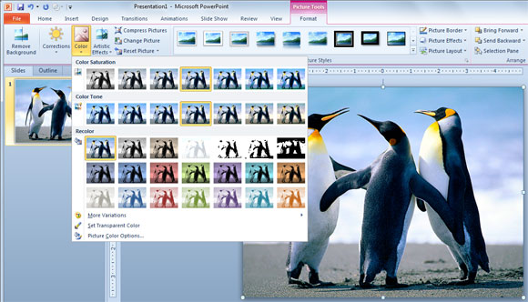 تلوين الصور في PowerPoint 2010