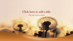 Flying dandelion PowerPoint background pictures