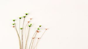 六朵簡單清新的花束PPT背景圖片