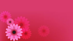 Beautiful pink flowers PPT backgrounds