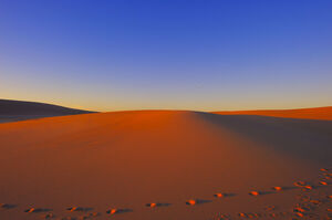 مشهد الصحراء خلفيات PPT عالية الوضوح
