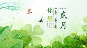 Зеленые свежие листья растений и фон ласточки Привет, февраль, шаблон PPT