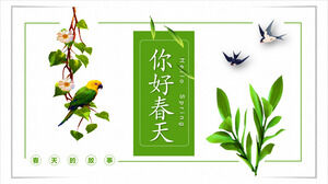 Zielona roślina, jaskółka, papuga, małe świeże tło, cześć, wiosna, szablon PPT