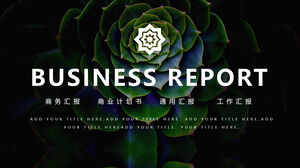 PPT template for business report with green succulent plant background