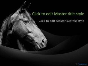 Бесплатный шаблон PPT «Черная лошадь»