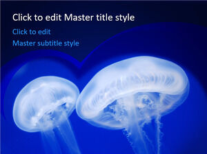 Free Jellyfish PPT Template