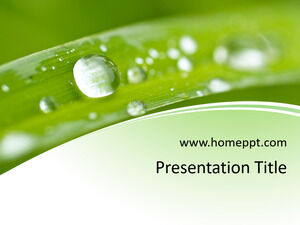Free Nature PPT Template