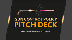 Gun Control Policy Pitch Deck