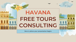 Havana Free Tours Consulting