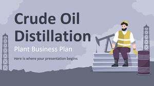 Plan de afaceri al uzinei de distilare a țițeiului