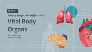 高校の科学科目 - 9 年生: 重要な身体器官