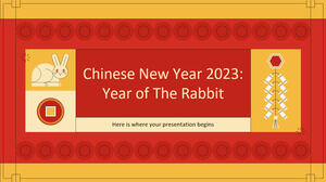 2023 年農曆新年：兔年