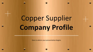 Perfil da empresa fornecedora de cobre